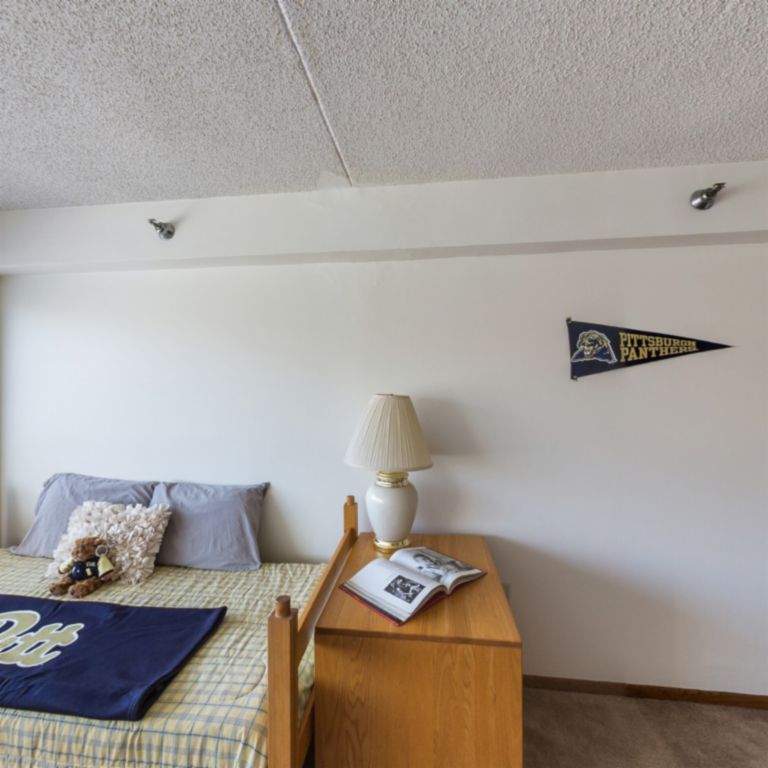 Experience University Of Pittsburgh - Panther Central: On-Campus Living ...